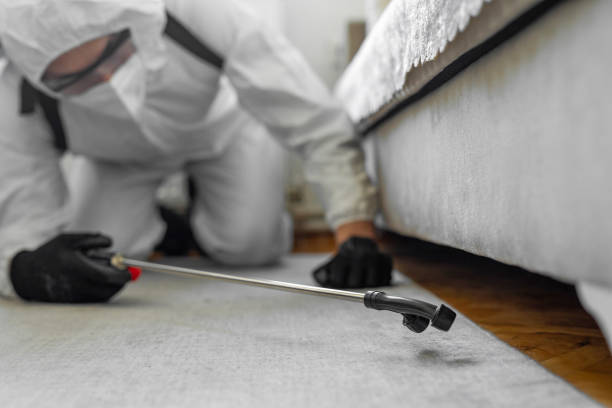 Professional Termite Control technician working in Fairfield, TX
