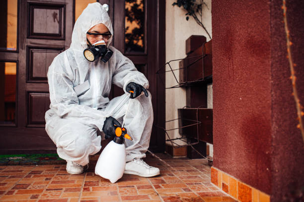 Reliable Termite Control contractor in Fairfield, TX by Nex Pest Control